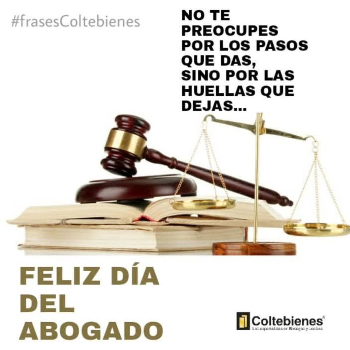 antonio_hadad's tweet photo. Felicidades https://t.co/JtY7IbovBP