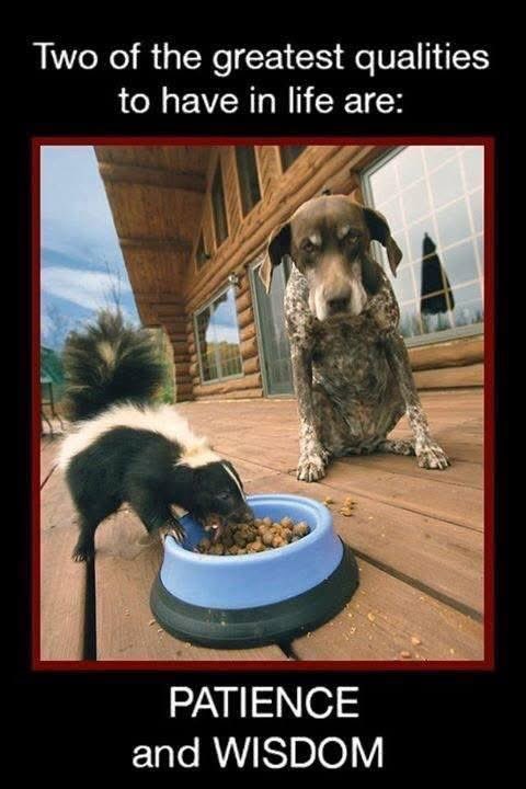 Steve Borer CMAA Ret (@steveborer1) on Twitter photo 