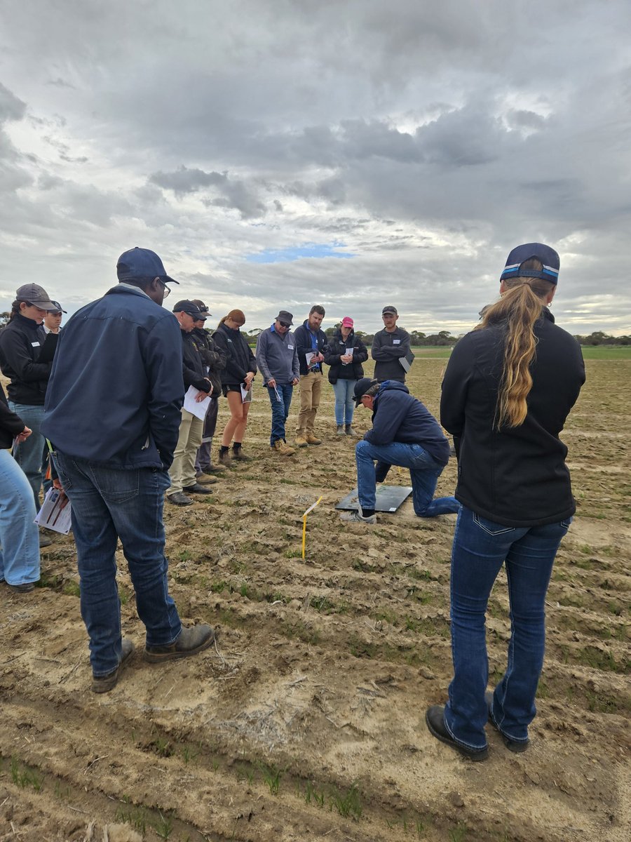 <a href="/SLR_Agriculture/">SLR - Field Research | Extension</a>, presented our finding on the #longcoleoptilewheats look specifically at fertiliser placement when deep sowing this year, as well as highlights across all trials. Thanks to the <a href="/LiebeGroup/">Liebe Group</a>  for a great day at their Post Seeding Field Walk at their Main Trial Site