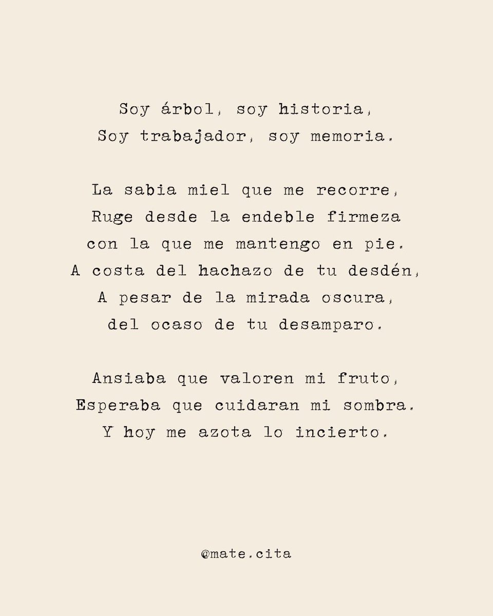 mate_cita's tweet photo. El quebracho de Córdoba que encarna tanto de lo que duele de esta época.

#elquebrachosequeda #cordoba #quebracho #villaallende https://t.co/vfAk2r3Yv8