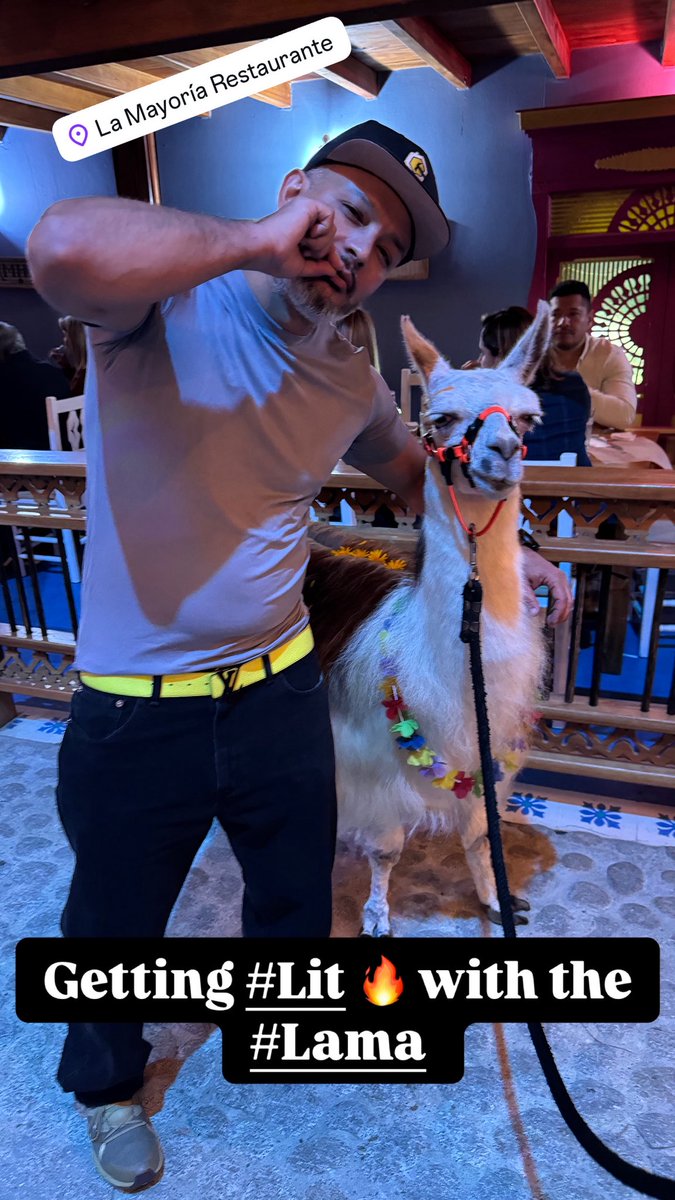 💨 🦒 😶‍🌫️