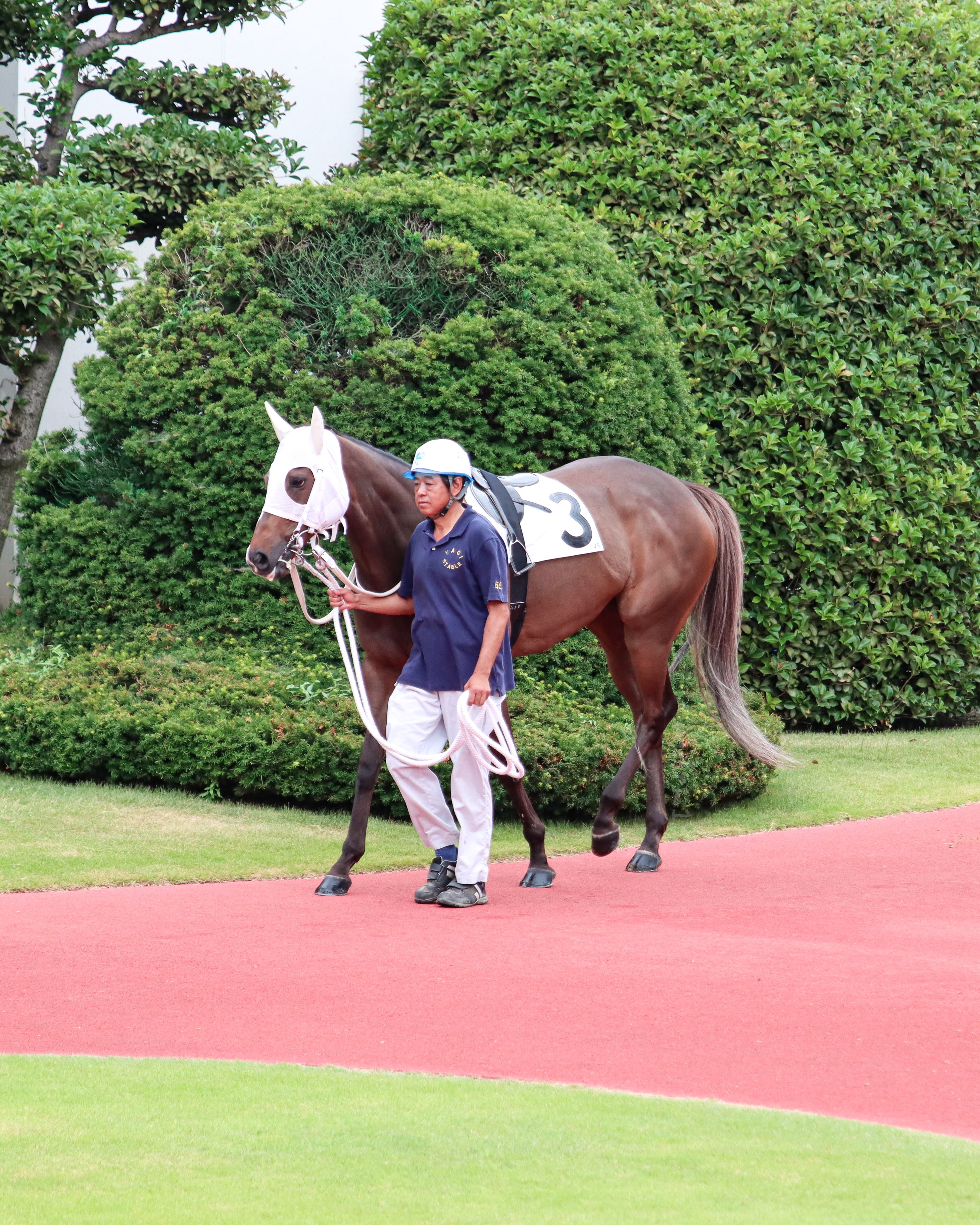 競馬　馬　フレデリック・レミントン画集 競馬 馬 フレデリック・レミントン画集