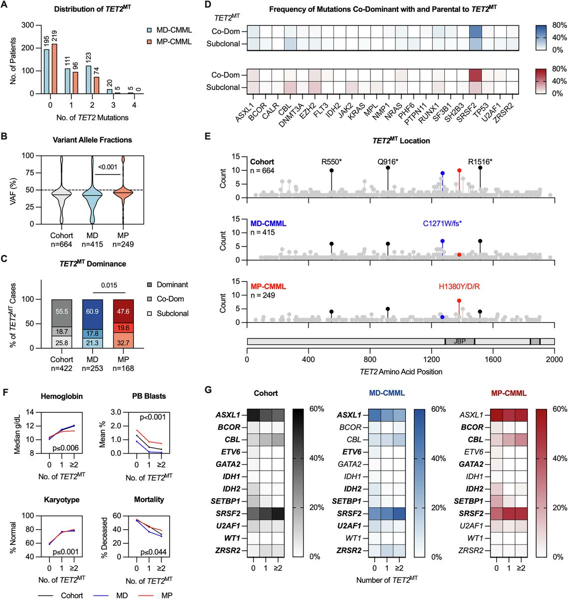 Clifford Csizmar (@ccsizmar) on Twitter photo When it comes to TET2 mutations in CMML, more are better! Multiple TET2 mt offset the negative impacts of ASXL1 and RAS mutations in myelodysplastic and myeloproliferative CMML, respectively. <a href="/MrinalPatnaik/">Mrinal Patnaik</a> nature.com/articles/s4137… When it comes to TET2 mutations in CMML, more are better! Multiple TET2 mt offset the negative impacts of ASXL1 and RAS mutations in myelodysplastic and myeloproliferative CMML, respectively. <a href="/MrinalPatnaik/">Mrinal Patnaik</a> nature.com/articles/s4137…