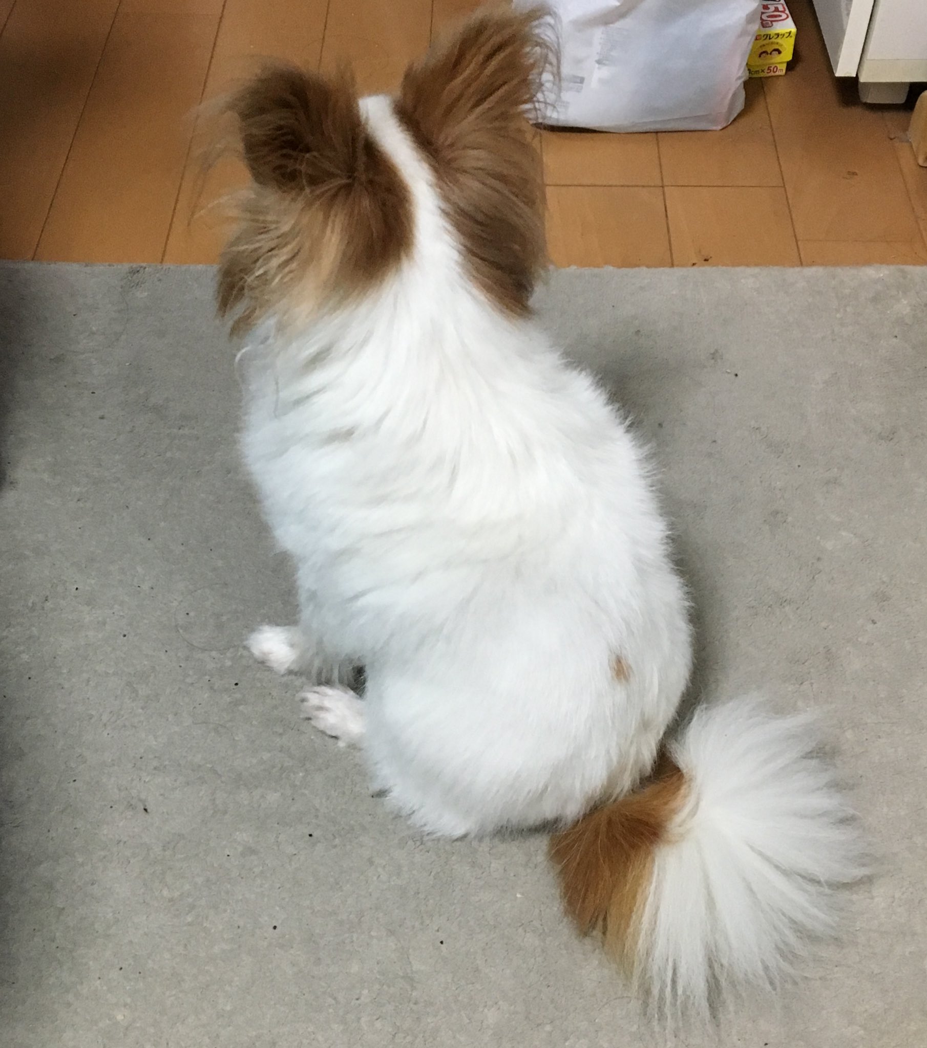 あねさま on X: 