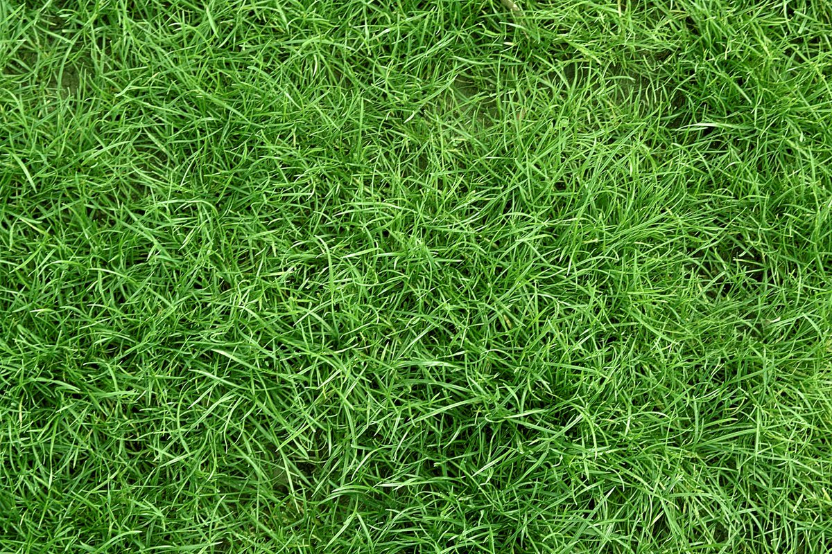 Touch the grass. #openseatouchgrass
<a href="/opensea/">OpenSea</a>