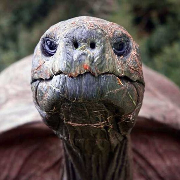 #Jonathan UPDATE:

Good Evening Legend! 

Finally home and doing some cooking. Getting main accounted looking more of a tribute to the King irl Jonathan than the mems. You guys can continue killing it in that department. As for main X, we will be spreading awareness to the world