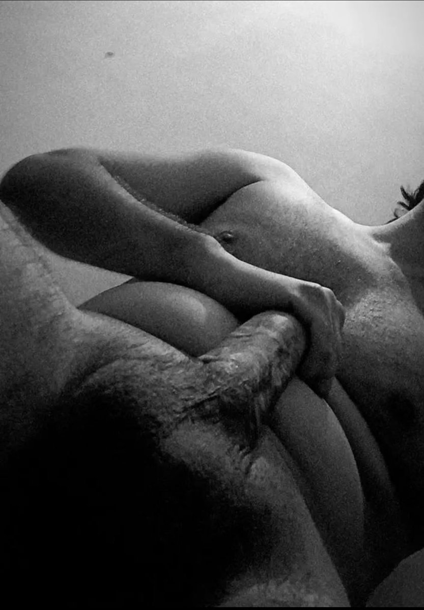 Los pollos de la floresta son 🥵