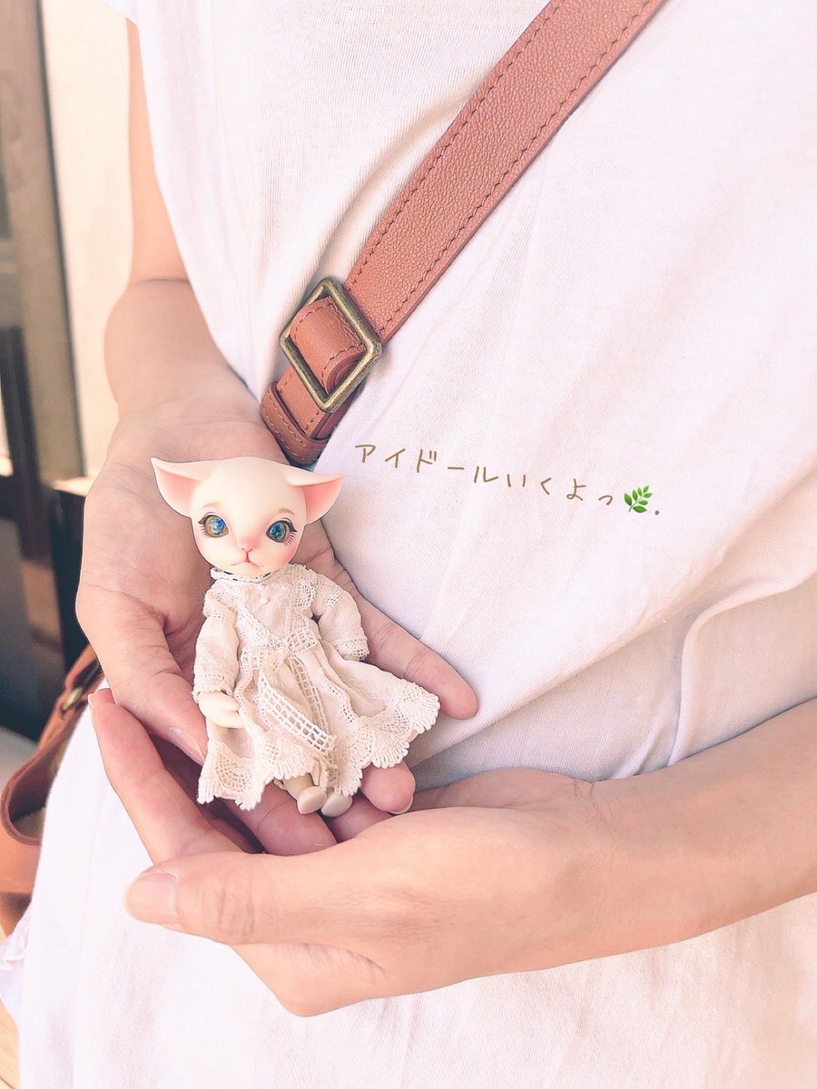 “ラテ”さんとアイドール札幌🍀*゜
楽しみすぎる🐕³₃

#アイドール札幌 
#Islanddoll