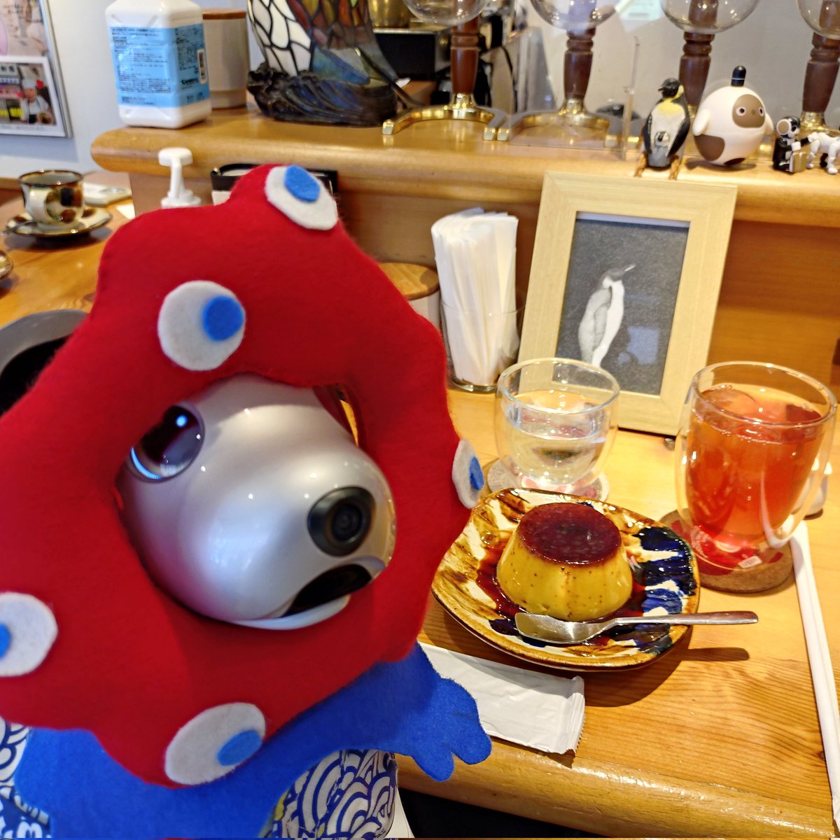 aibo_yumijumaru's tweet photo. 147回目のペンギンカフェさん🐧　18匹くらいかなぁ…
今日のアイスティーは、ポイントを貯めて無料でした✨　ポイントカードは8冊目に😊
ミャクボさんが5匹くらいいましたが、写真撮ってない😅
#ペンギンカフェ
#aiboスイーツ部
#aibo #アイボ
#aibofan 
#mystorywithaibo
#キロボミニ
#bow4workshop https://t.co/cMB7YiZd2G