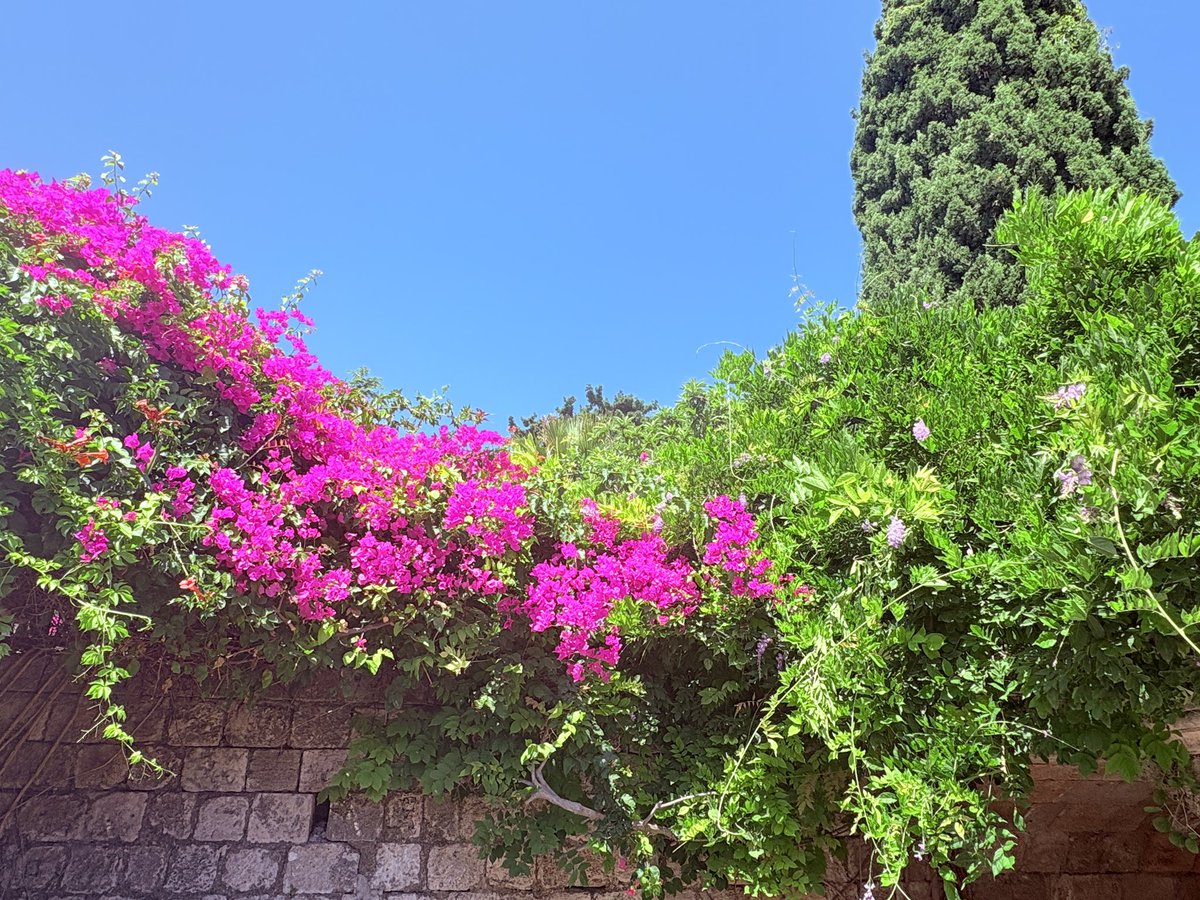 Soleil ☀️ 🇬🇷🧿