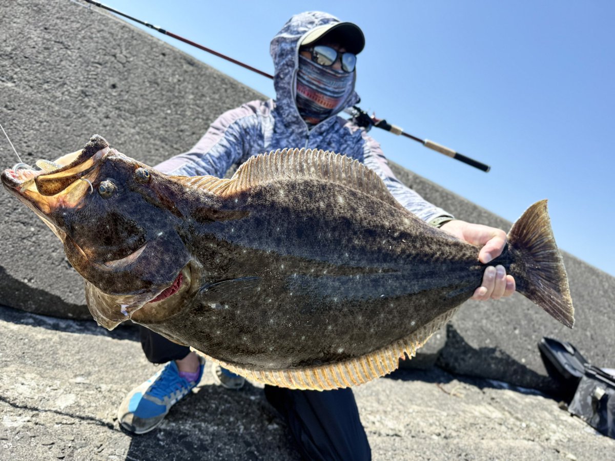 oga_0624_'s tweet photo. 室蘭沖堤防延長戦でジャスト80cmの座布団💥
#fishman
#フィッシュマン
#ベンダバール101m
#imzリミットブレイカー
#アトミックスライダー
#atomicslider
#フロロショックリーダー
#osp
#ドライブシャッド https://t.co/XW1jpYM9YM