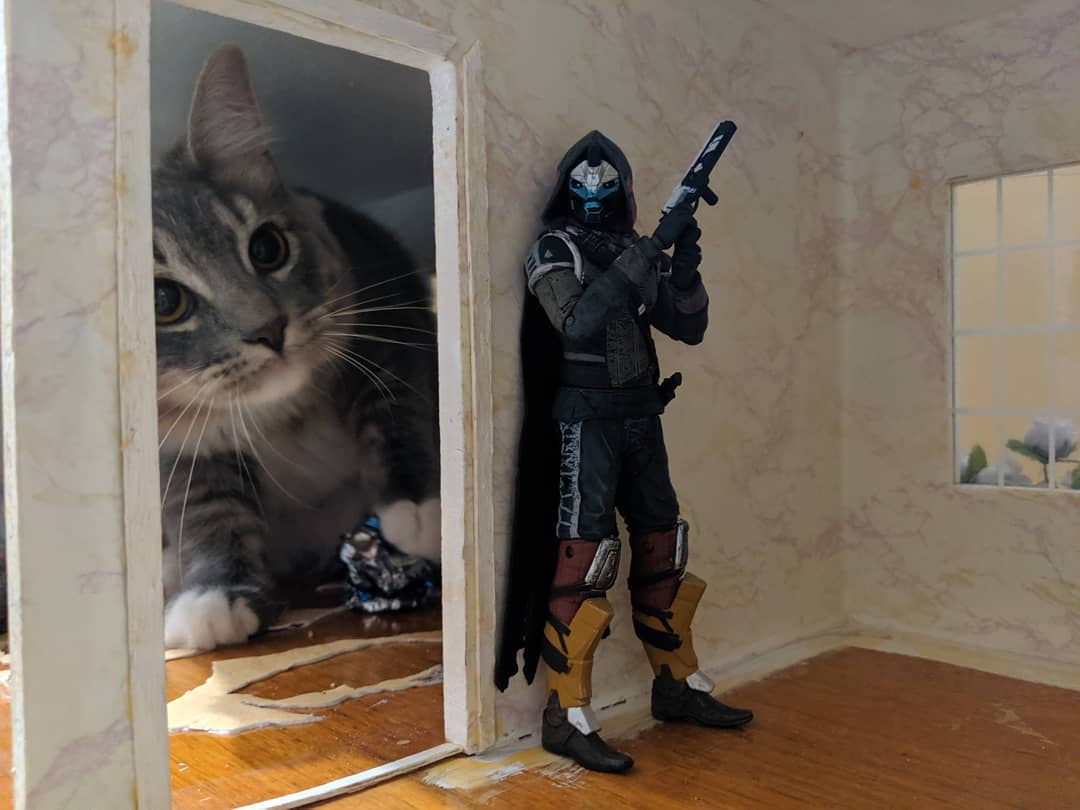 PunchingCat's tweet photo. https://t.co/09DaFkcpV3