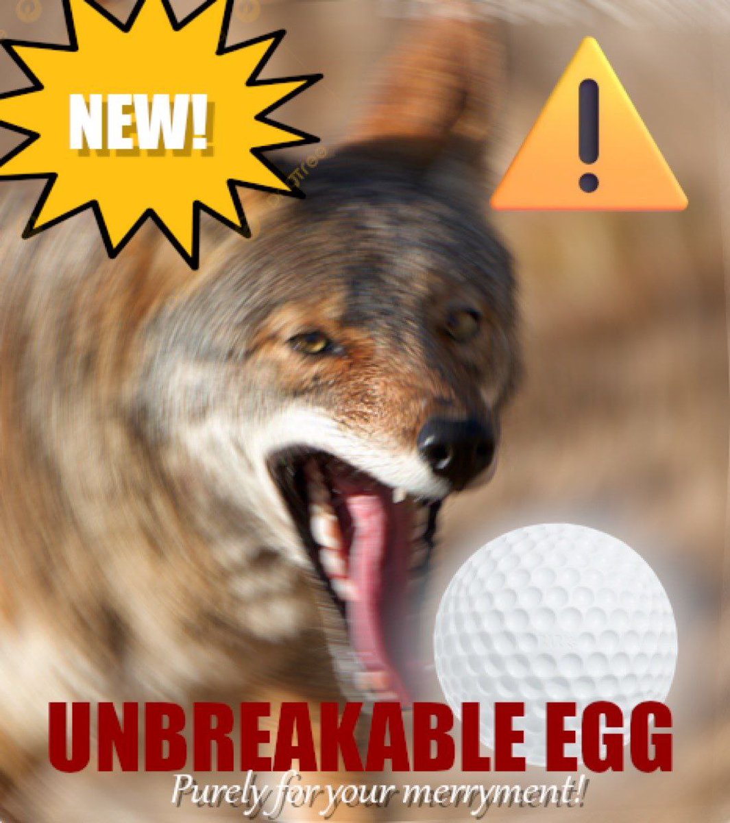 OnlyYotes (@hourlyyote) on Twitter photo 