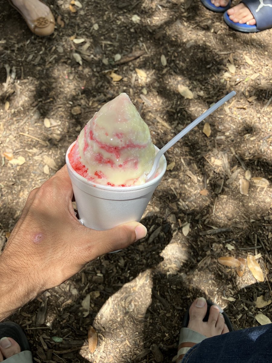 astrodanish's tweet image. 28 JUNE 2025
my grandma is taking a picture of me because i climbed a tree to eat my snowcone.
they say time machines don’t exist but im 7 years old today and the world has not yet revealed its cruelty.
my grandfather is still alive, and my aunts and uncles and cousins live…