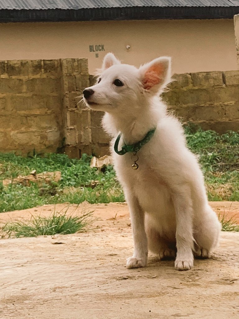 SNOW ❄️ KUK'S BABY tweet media