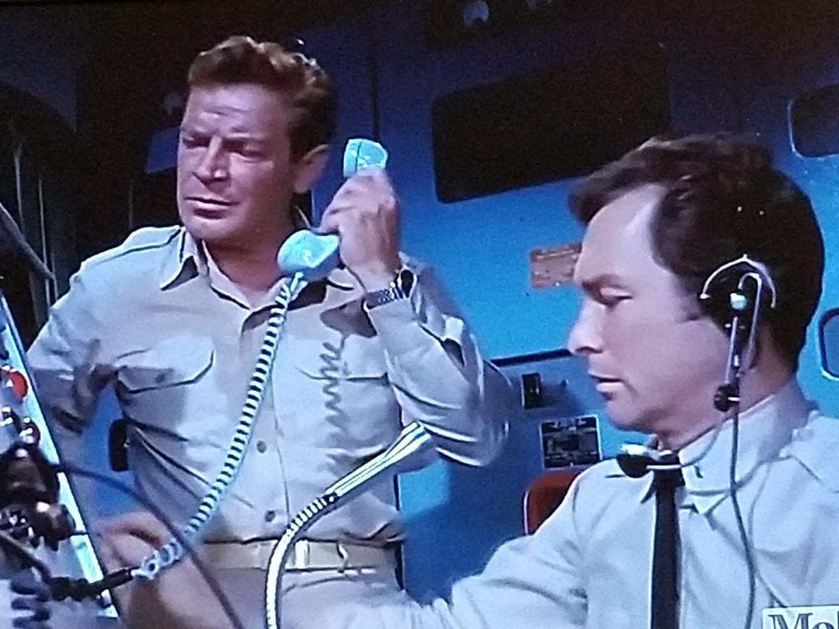 🥕🥕De Lynn 🥕🥕 tweet media