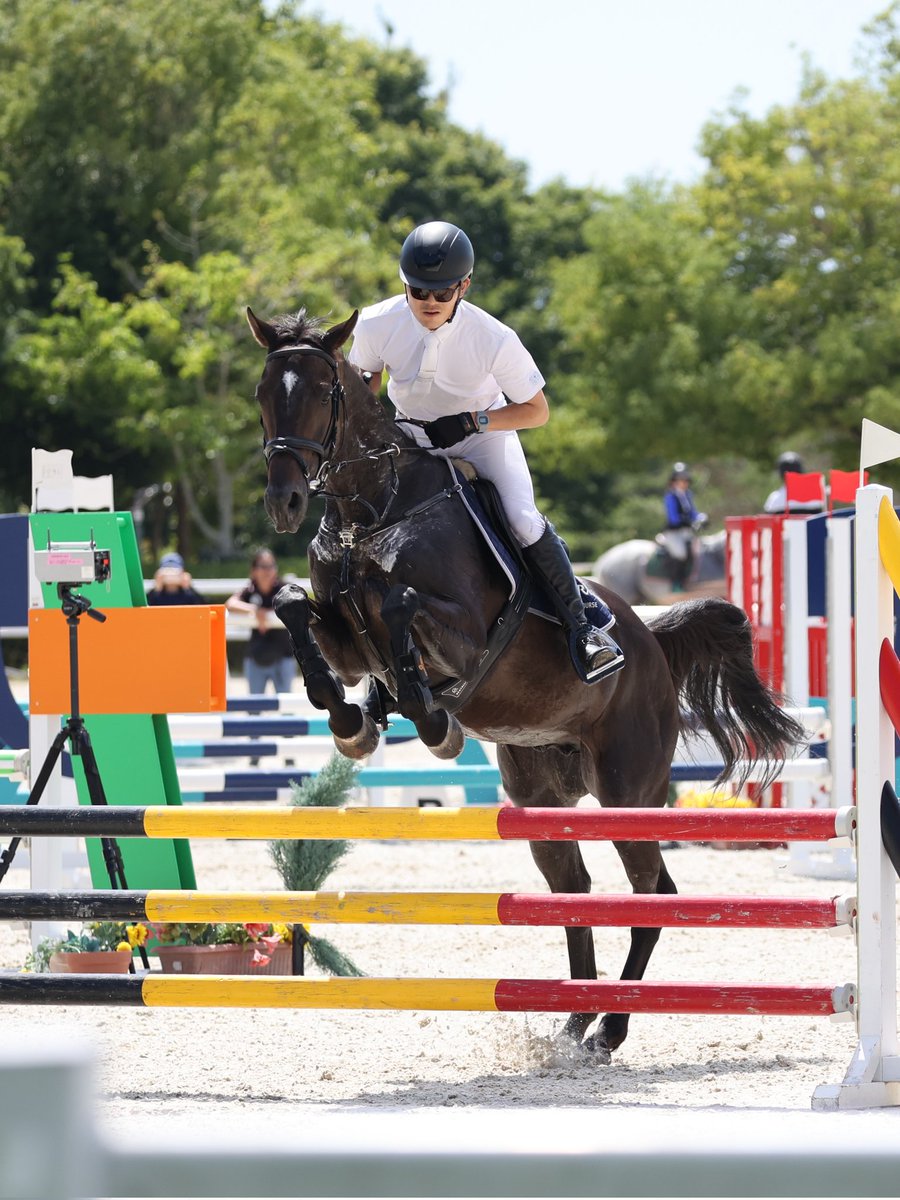 fs305Mixer's tweet image. ついこの前まで現役で走っていた
ディープボンド。
短期間でここまでできるなんて凄い👏✨
また応援に行きます😊

#ディープボンド 
 #RRC   #三木ホースランドパーク