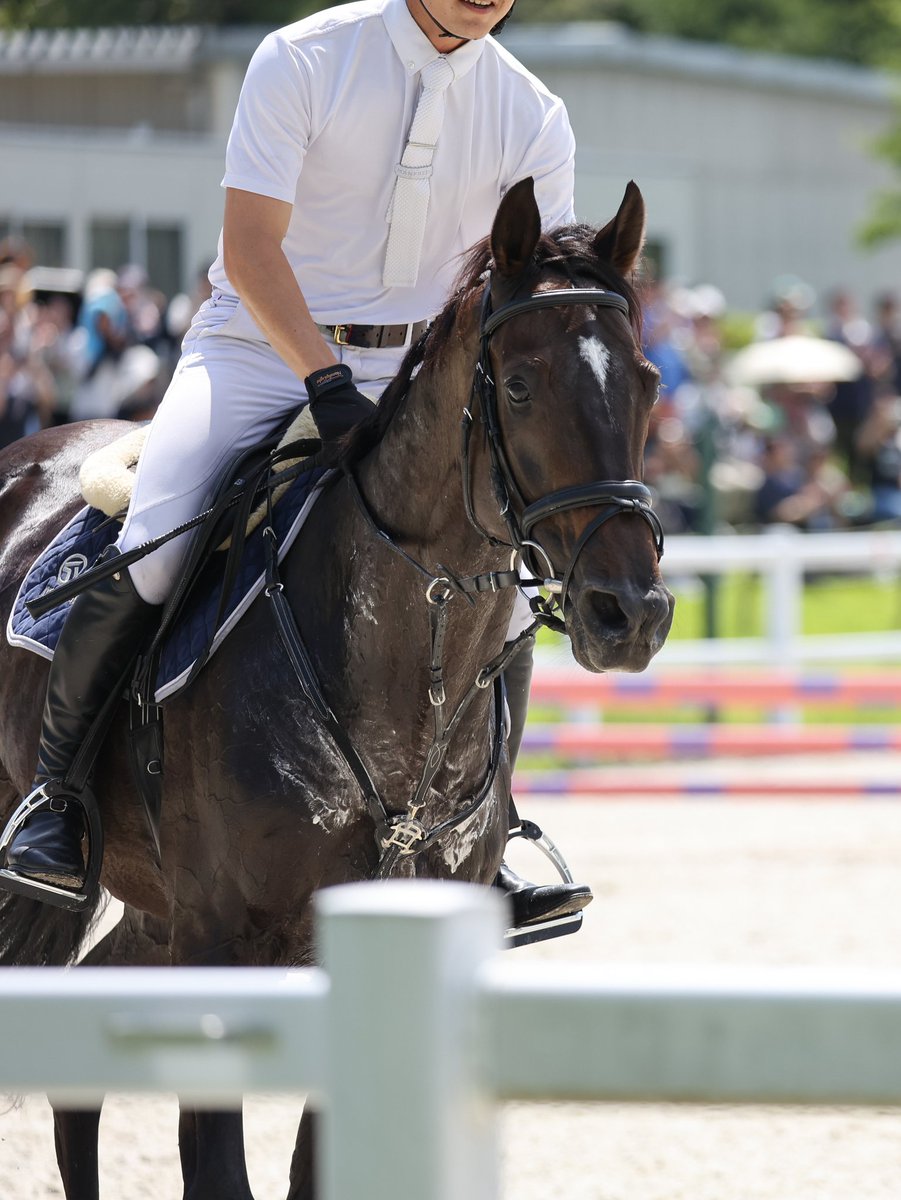 fs305Mixer's tweet image. ついこの前まで現役で走っていた
ディープボンド。
短期間でここまでできるなんて凄い👏✨
また応援に行きます😊

#ディープボンド 
 #RRC   #三木ホースランドパーク