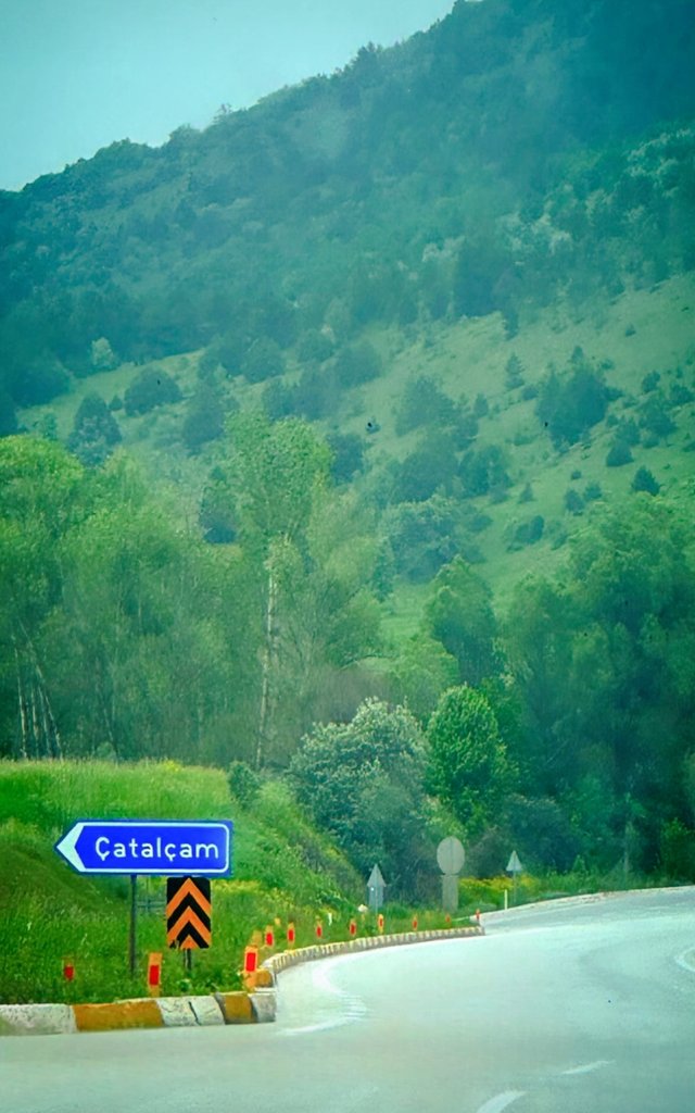 Rakım 1.600m.'den Günaydınlar ☕Bizim köy yeşil deniz 💚🌲🌳🌱

#gunaydin
#pazar
#MutluPazarlar