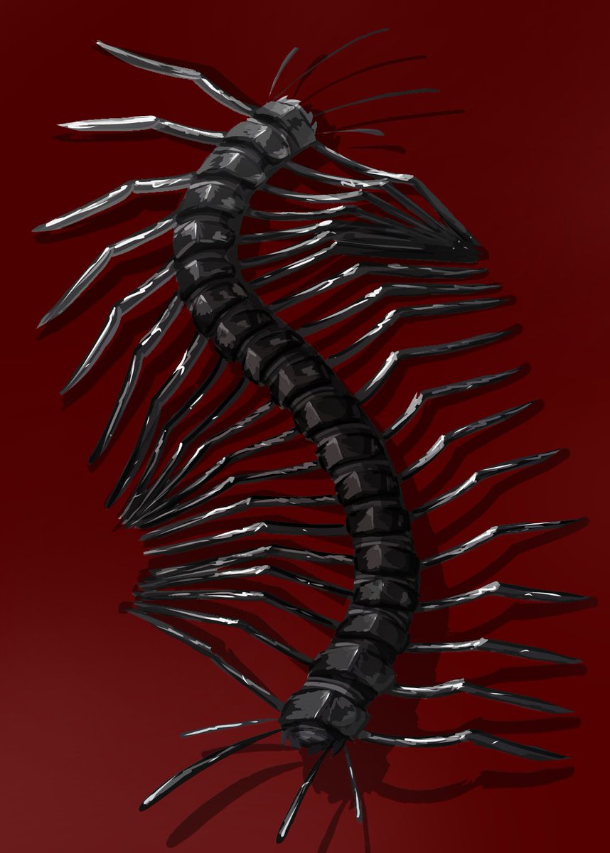 C43_64's tweet photo. #Rainworld #oc #rainworldoc https://t.co/MCZGW0ZSSG