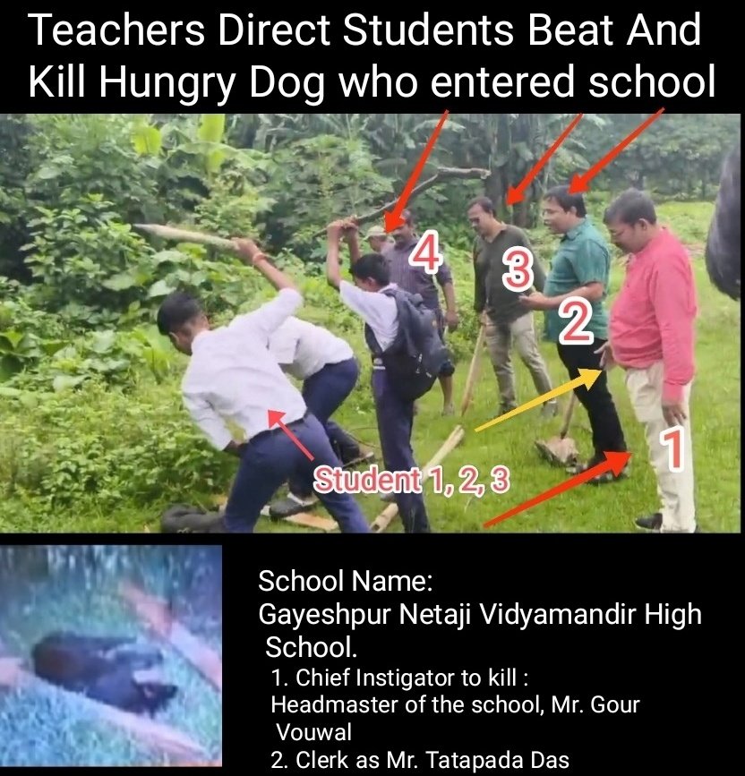 Ajay Joe (@joedelhi) on Twitter photo Education Gone Wrong !
These govt school teachers in Gayeshpur area of Nadia, West Bengal, directed children to brutally beat, kill a hungry dog to death.
Tomorrow these kids would harm, rape, kill women in their colleges and streets.
<a href="/MamataOfficial/">Mamata Banerjee</a> <a href="/derekobrienmp/">Derek O'Brien | ডেরেক ও'ব্রায়েন</a> Pls dismiss Education Gone Wrong !
These govt school teachers in Gayeshpur area of Nadia, West Bengal, directed children to brutally beat, kill a hungry dog to death.
Tomorrow these kids would harm, rape, kill women in their colleges and streets.
<a href="/MamataOfficial/">Mamata Banerjee</a> <a href="/derekobrienmp/">Derek O'Brien | ডেরেক ও'ব্রায়েন</a> Pls dismiss