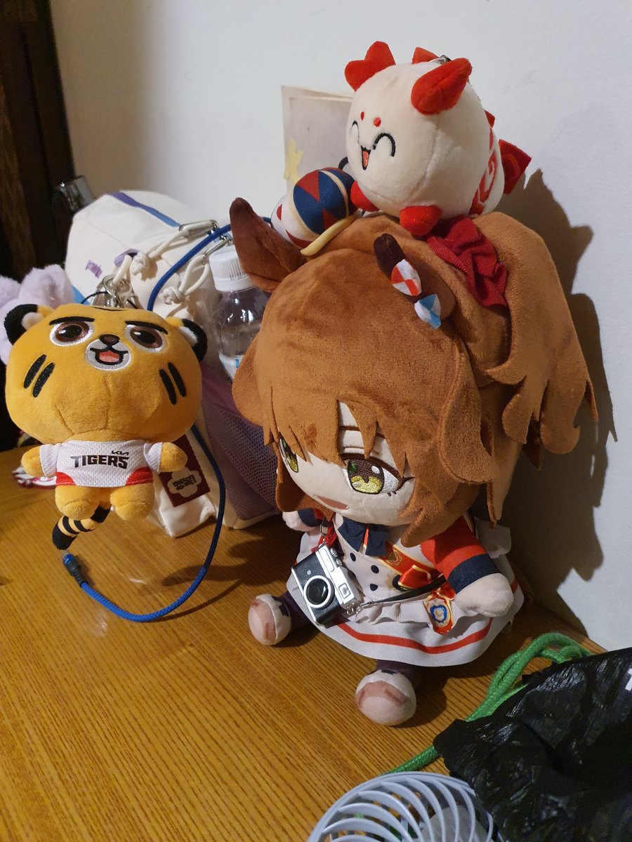 6543_plz's tweet image. 