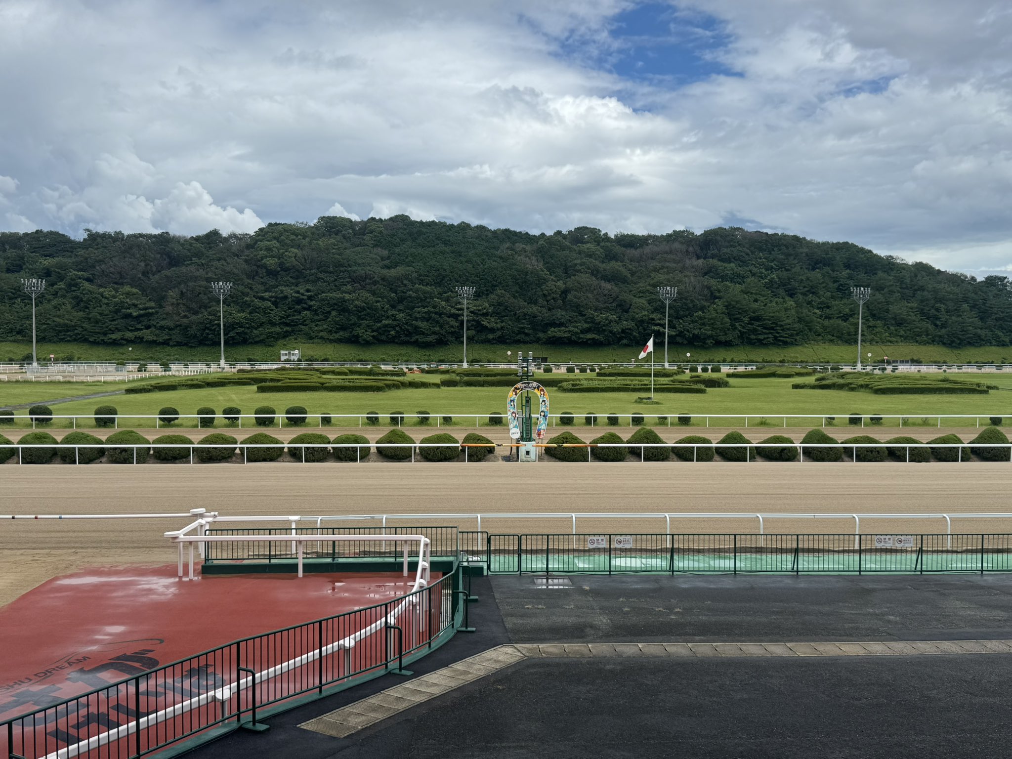 競馬2着馬物語 シゲルオトメザ (Shigeru Otomeza) | 競走馬データ - netkeiba