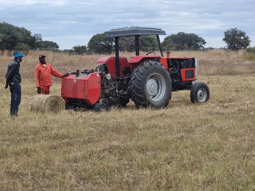 AgricolZIACO23's tweet photo. 🌱  Turning farm teams into efficient, profit-driven units.  
🗣️ “Mr Ndudzo stopped counting hours and started counting results.” #ZIACOAlumniPower# https://t.co/MiNdplnVjJ