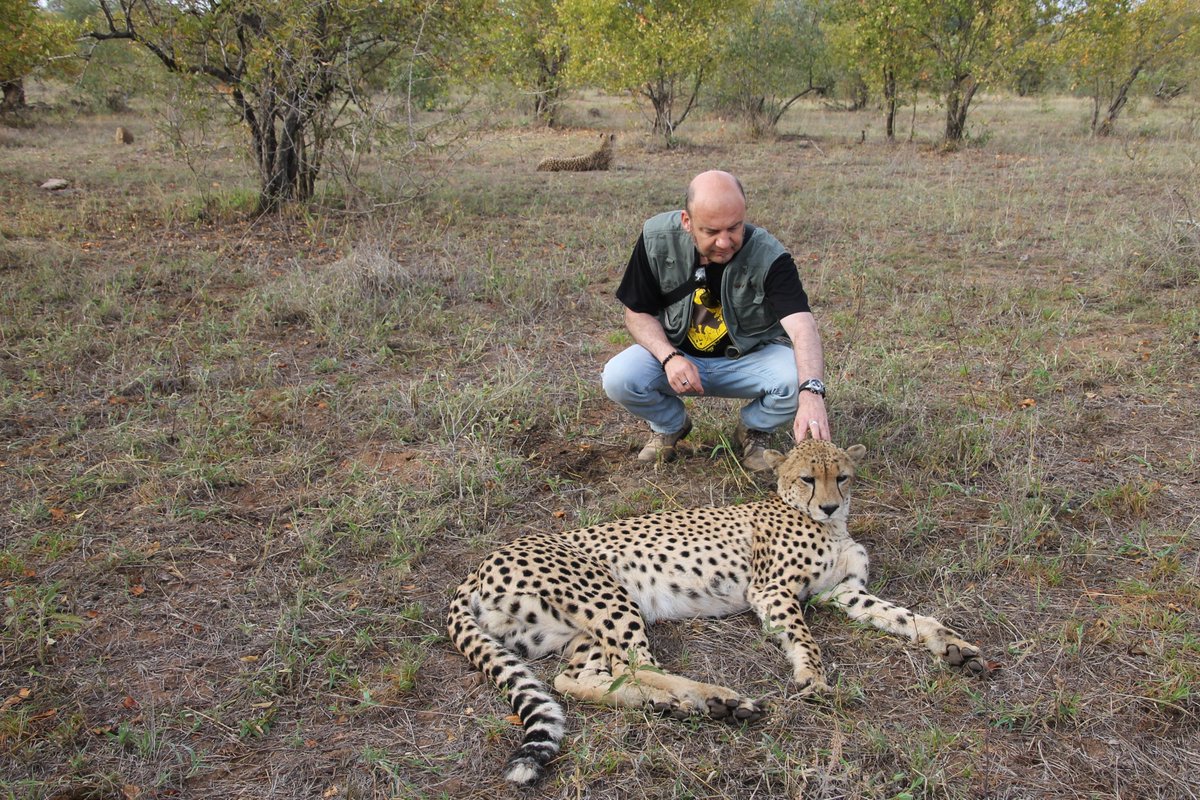 PeterJacobs tweet media