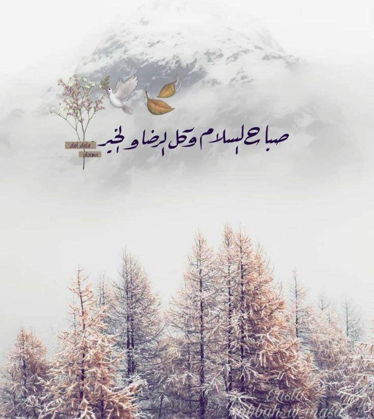 ALHothan's tweet photo. بعض الأرواح لا تمر بنا عبثًا، بل تلامس شيئًا في أعماقنا لا نعرف له اسمًا، لكنها توقظه بلطف…كأنها جاءت لتذكرنا أن الطمأنينة لا تُشترى، بل تُهدى. https://t.co/vaH8I6LNB9