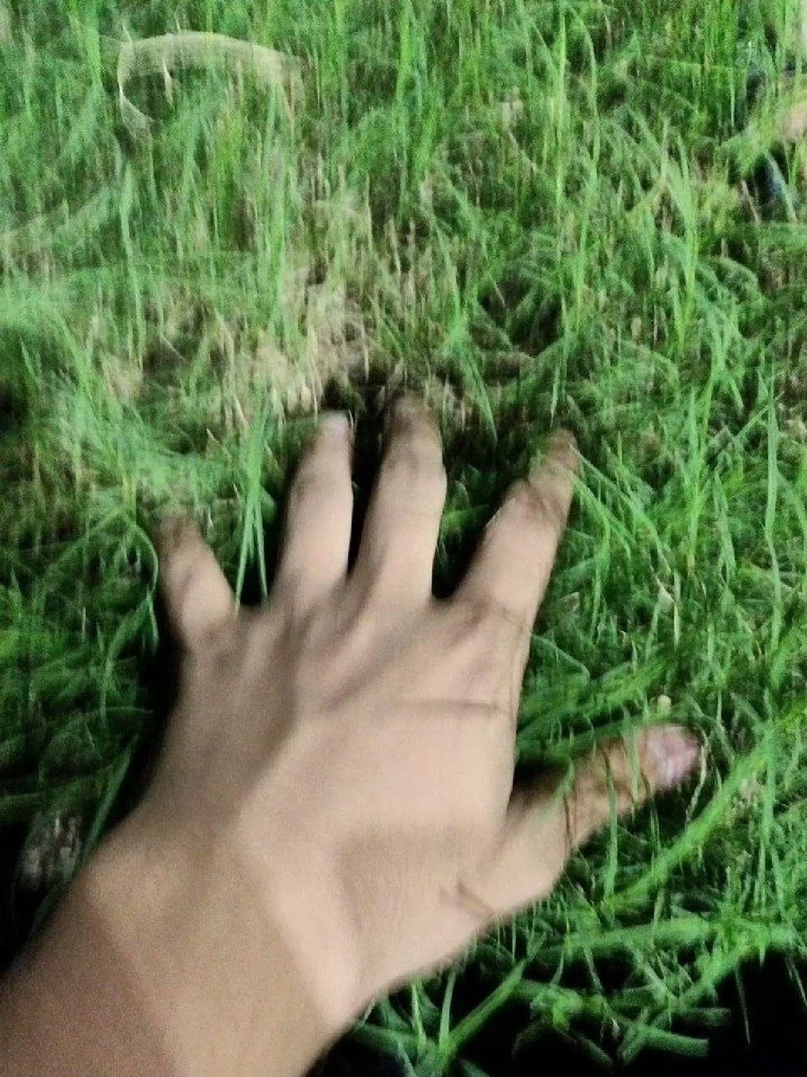 clouds77exe's tweet image. #openseatouchgrass