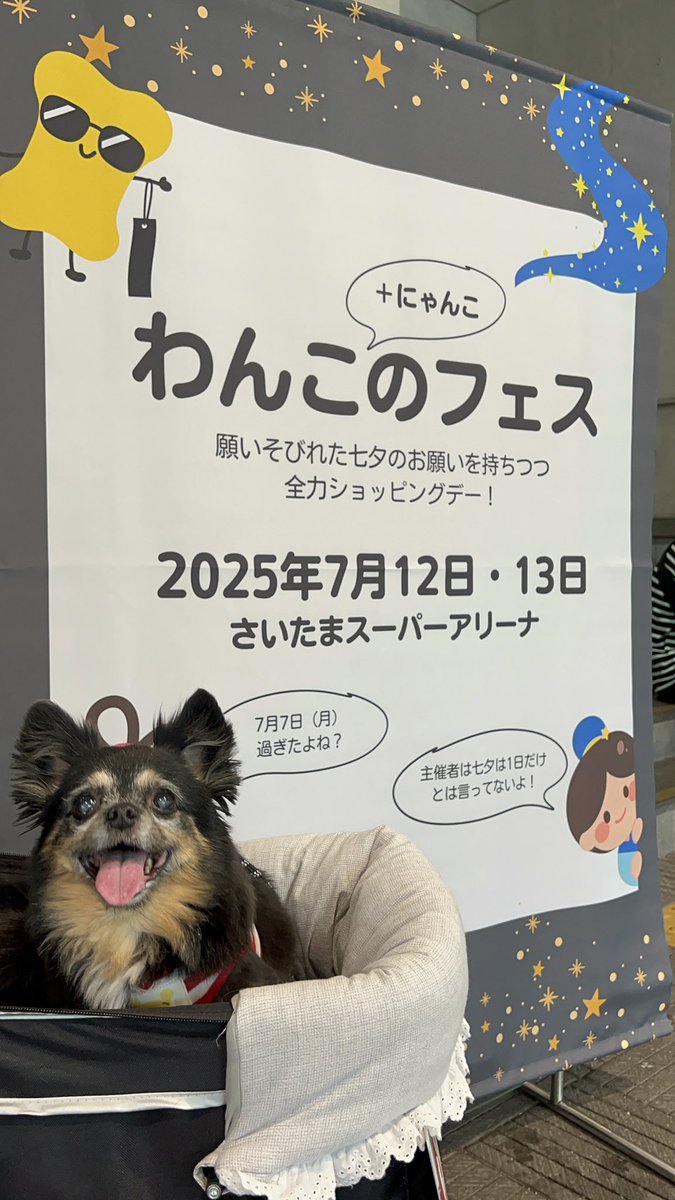 小悪魔なソラ・パパ tweet media