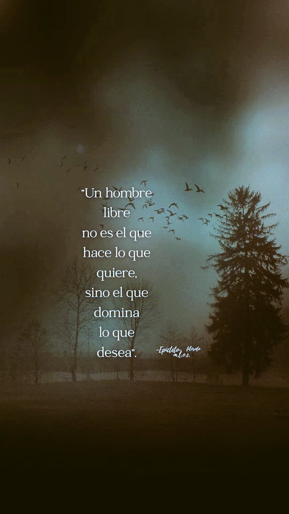 Hanna Arranz (@hannaarranz) on Twitter photo 