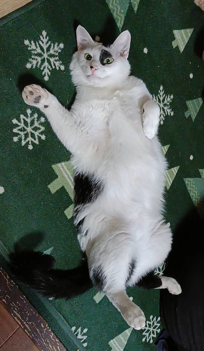 hey
ちょっとワシャワシャしてかない？