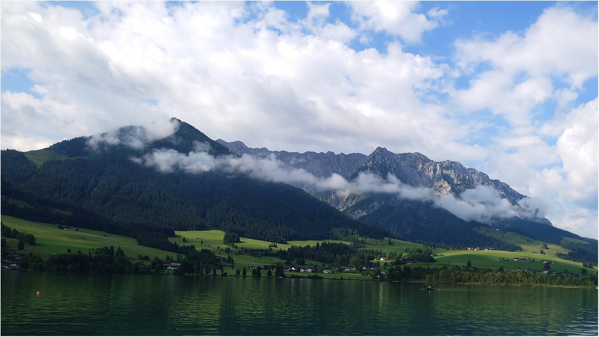 Johannes Kirnberger tweet media