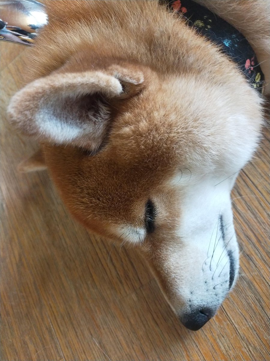 まーったり