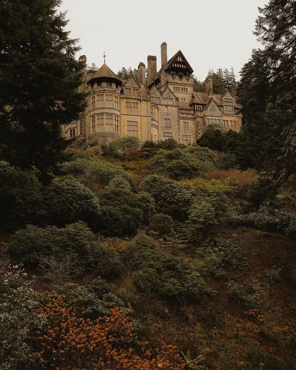 Mystic Castle (@mysticcastie) on Twitter photo 