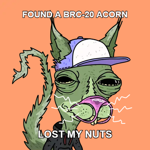 FOUND A BRC-20 ACORN / LOST MY NUTS <a href="/adderrels/">Adderrels</a> #BRC20 #AdderFi