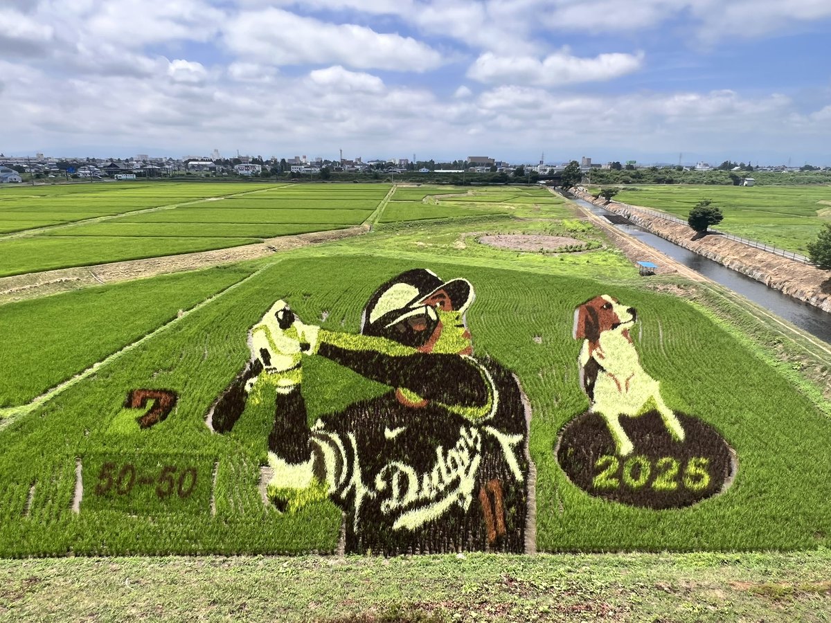 Yuccas4's tweet photo. #大谷翔平
#田んぼアート https://t.co/twOJC1Egqk