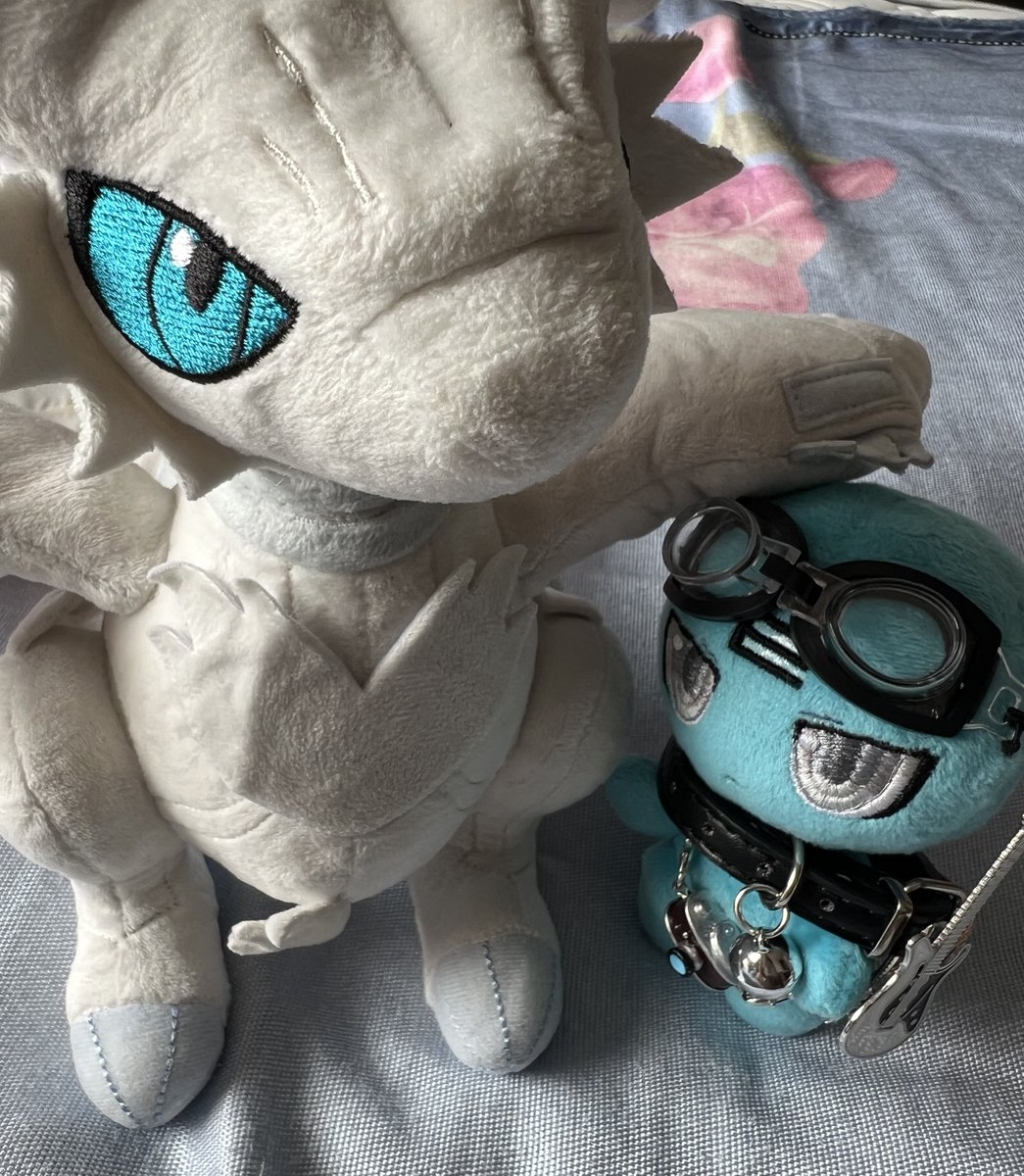 How to train your Reshiram🐉