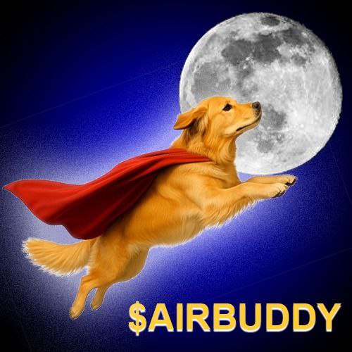 BuddyLivesonbas's tweet photo. $AIRBUDDY the dog thst is used to flying high in the AIR. He is also the most intelligent, athletic and energized dog people have ever witnessed. 

He's here on THE BASE chain to make an impact in the real world and on our CHARTS.

Ca = 0x381b2b6429Cbc9810Db6Fb8737b0D90E6eC32A92

Tg = https://t.co/iQayzYYWNJ