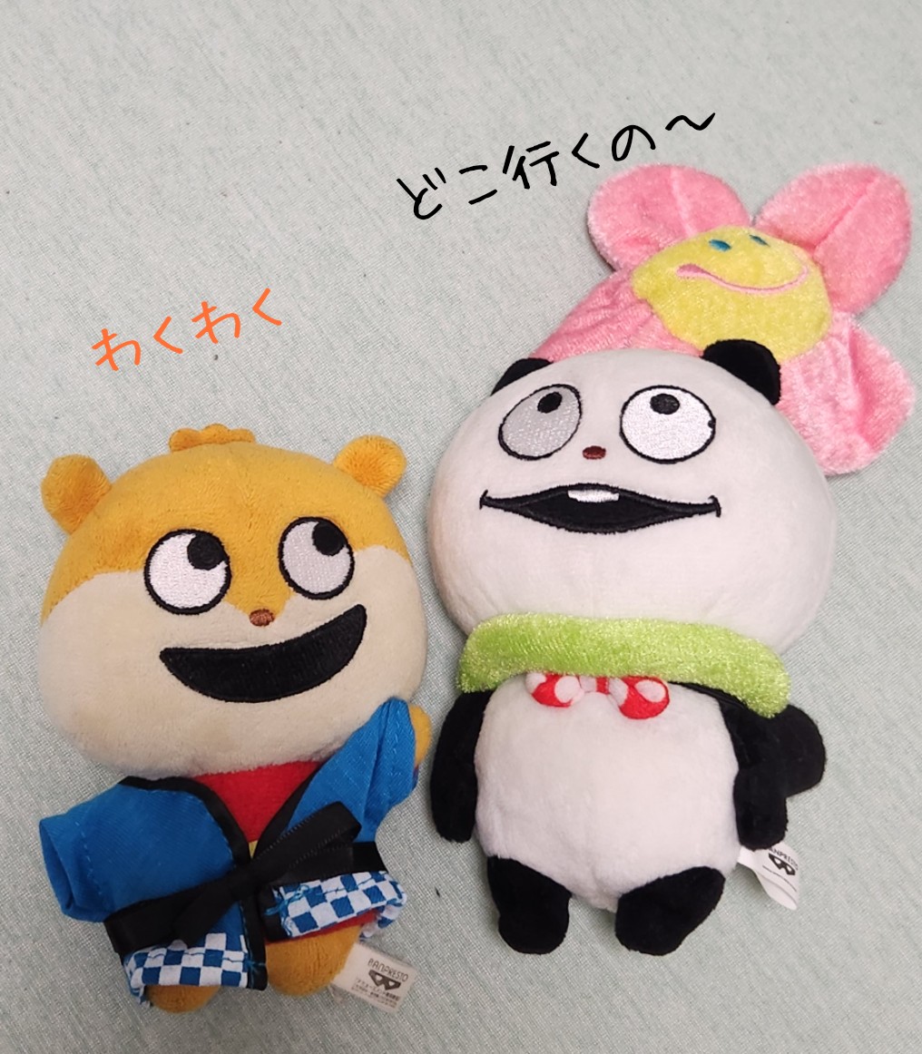 よし！おでかけするよ！！