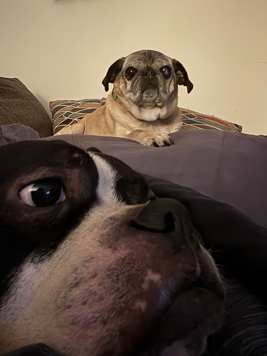 I'm something of a photographer myself