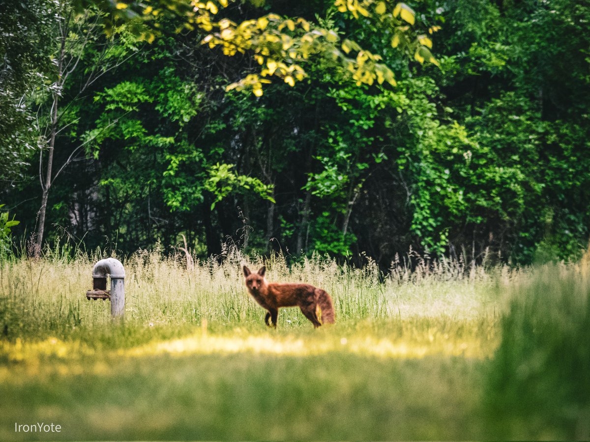 I need to find a new job, working every Saturday evening is killing my social life. I want to go to local meets and more cons without always using up PTO...