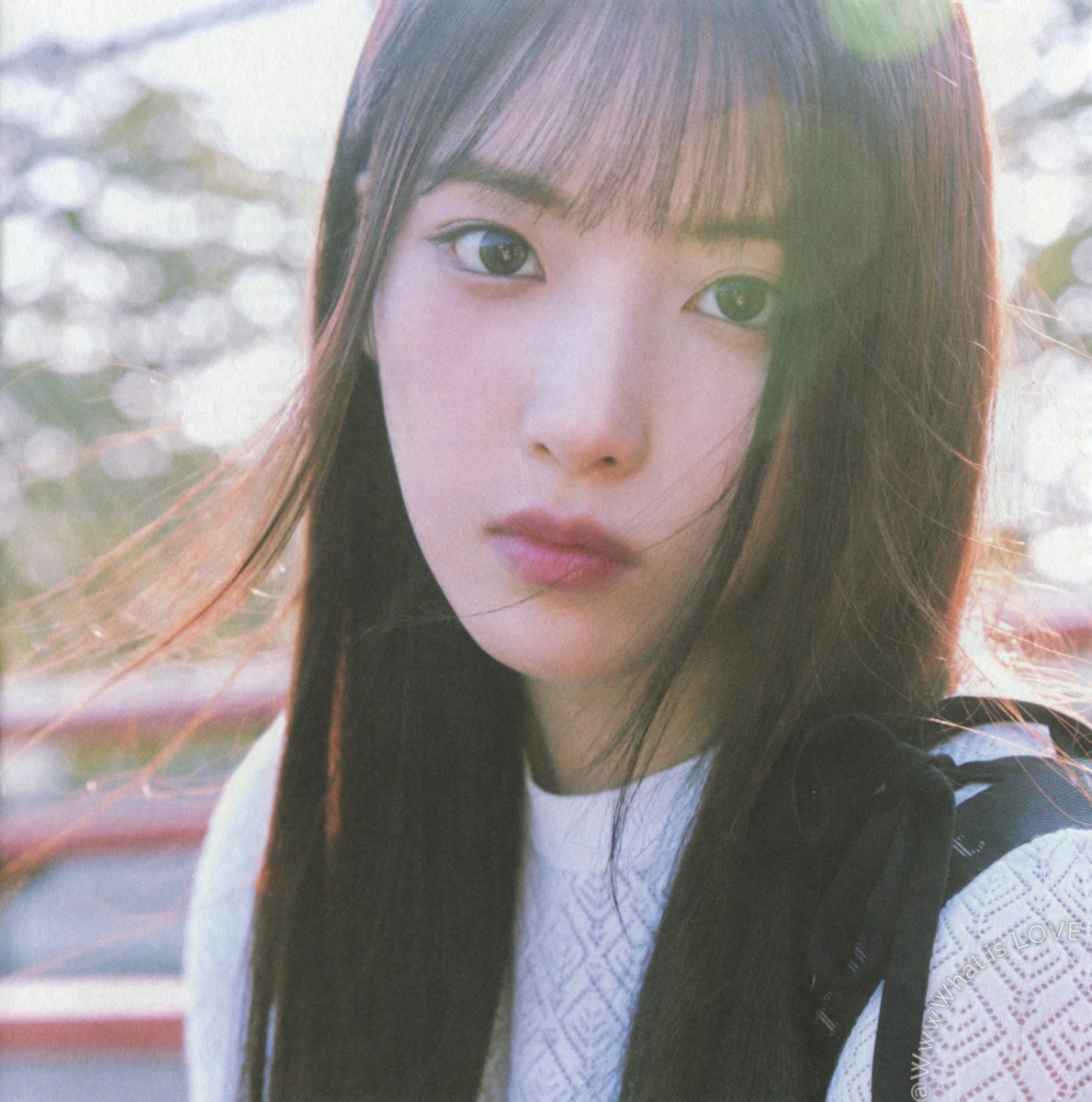WhatisLOVE4321's tweet photo. [SCAN] A Midsummer NMIXX’s Dream (NSWER Ver.)
A

#NMIXX #엔믹스
#A_Midsummer_NMIXXs_Dream
#Party_O_Clock https://t.co/3XX3JoycAU