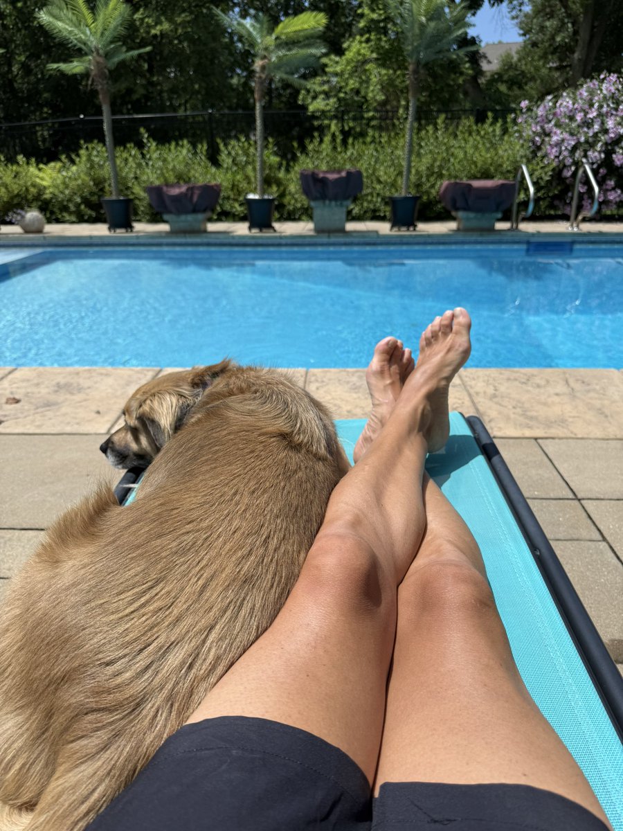 JABarnes1218's tweet image. Lazy Days by the pool with Tyson. He’s such a good boy.