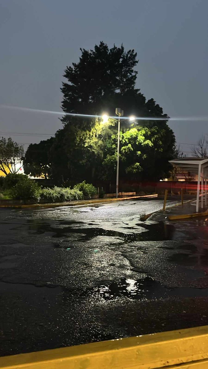 FUNDAPEPUEBLA's tweet image. 🚨 ¡URGENTE AYUDA! 🚨
Nos acaban de informar de una situación desesperada 💔: una perrita acaba de dar a luz cerca de la zona de La CAPU, y debido a las fuertes lluvias ha estado moviendo a sus bebés de un lado a otro, tratando de protegerlos como puede.
Los deja en un arbusto,…