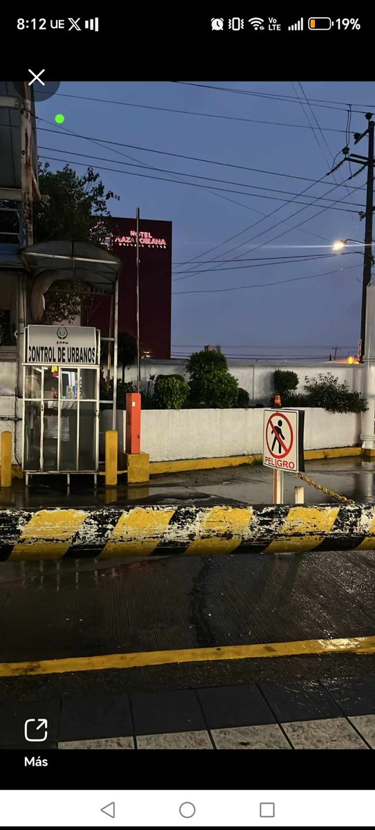 FUNDAPEPUEBLA's tweet image. 🚨 ¡URGENTE AYUDA! 🚨
Nos acaban de informar de una situación desesperada 💔: una perrita acaba de dar a luz cerca de la zona de La CAPU, y debido a las fuertes lluvias ha estado moviendo a sus bebés de un lado a otro, tratando de protegerlos como puede.
Los deja en un arbusto,…