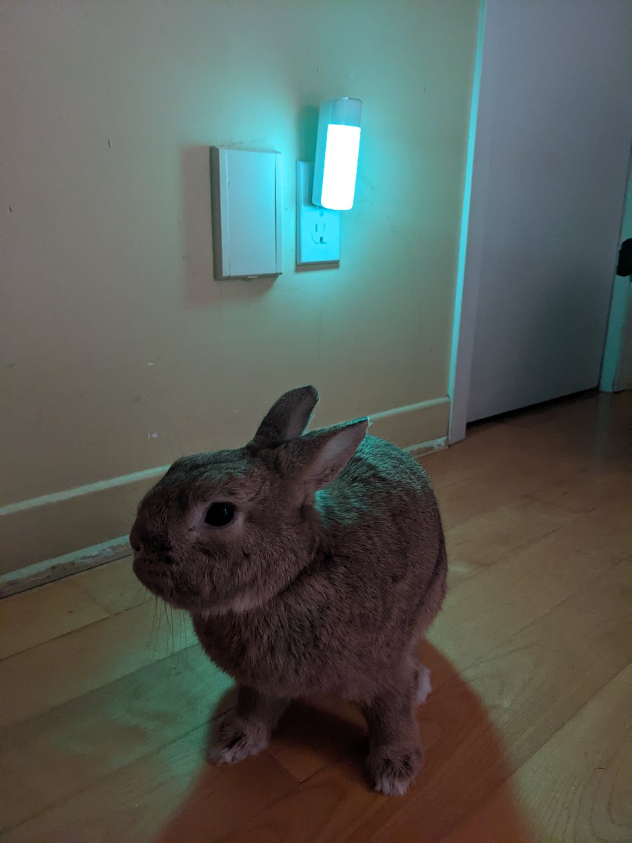 rocky.. 🍁 tweet media