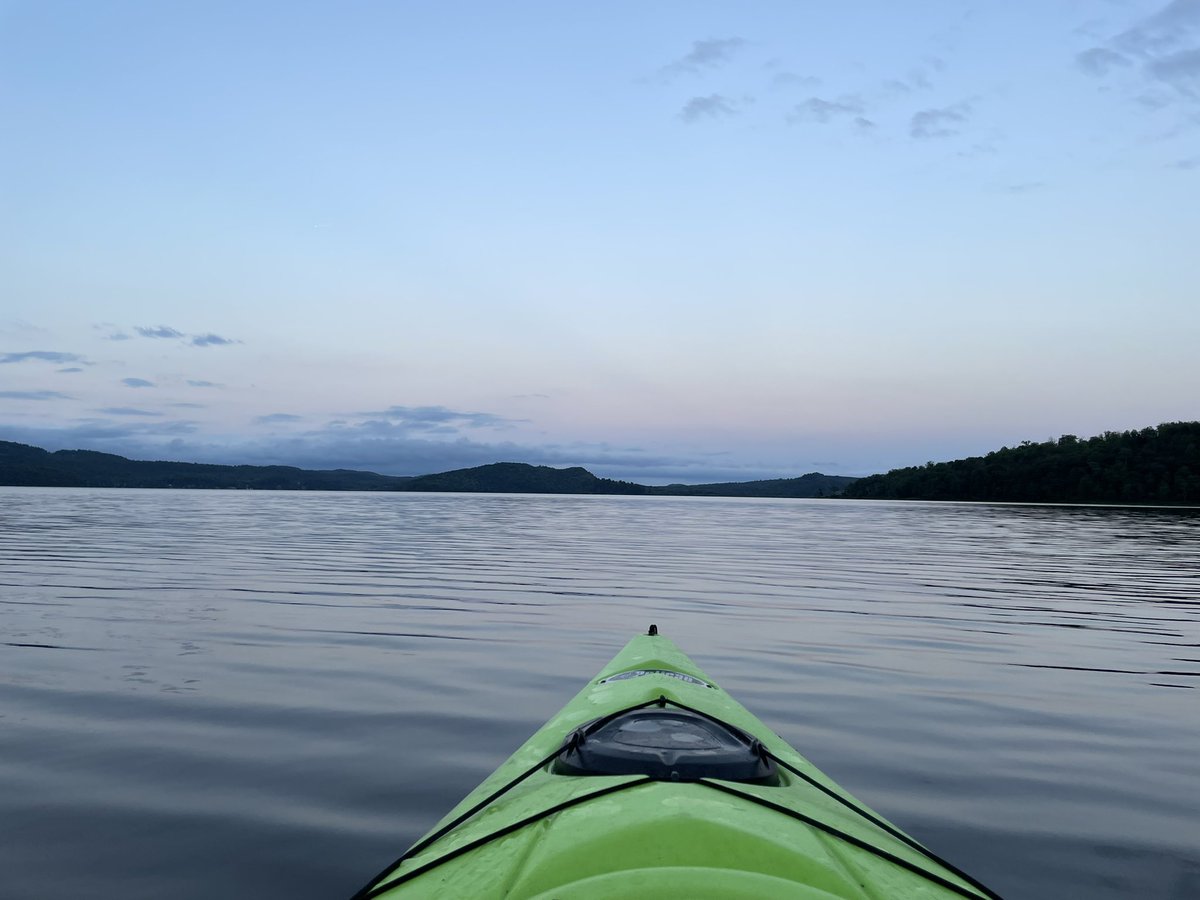 Joe Maurice tweet media